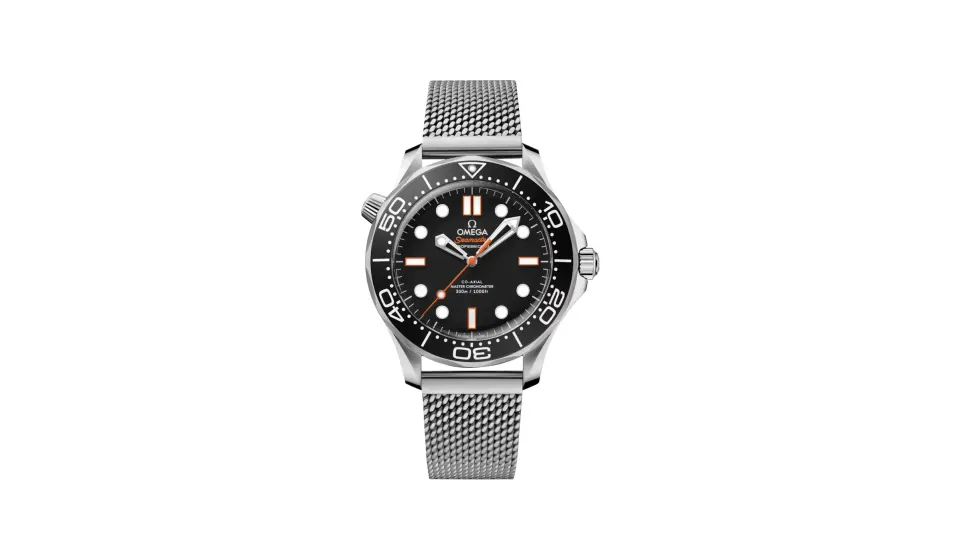 Omega Seamaster Diver 300M 42 mm, steel on steel