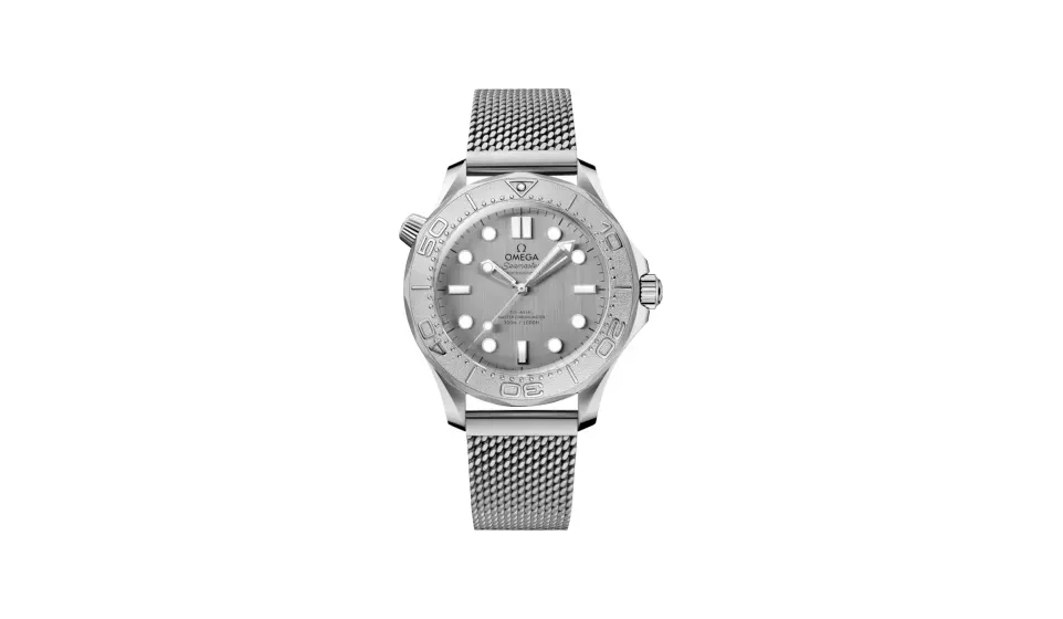 Omega Seamaster Diver 300M 42 mm, steel on steel
