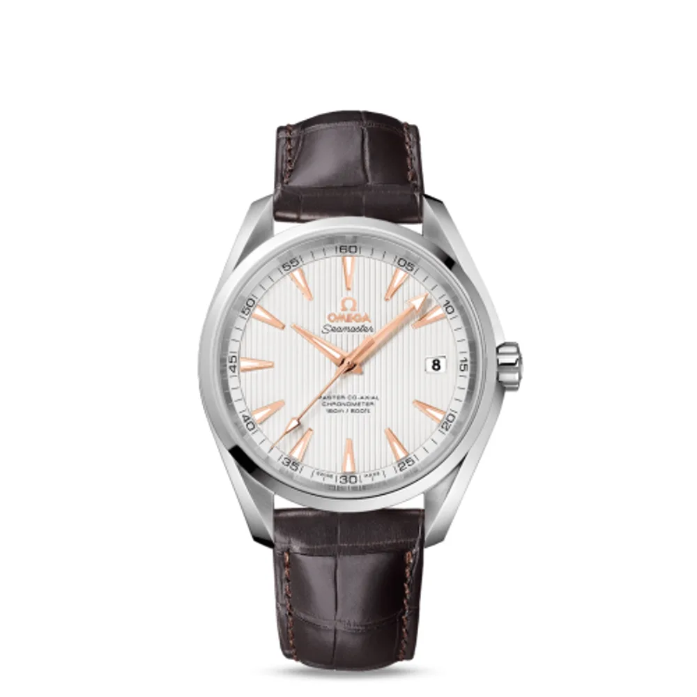 Omega Seamaster Aqua Terra 150m Master Co-Axial 41.5 Stainless Steel / Silver