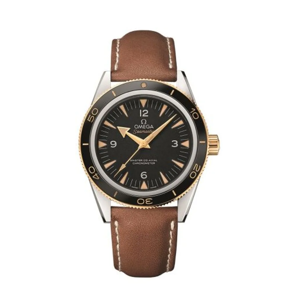 Omega Seamaster 300 Master Co-Axial Steel Stainless Steel / Yellow Gold / Black / Strap