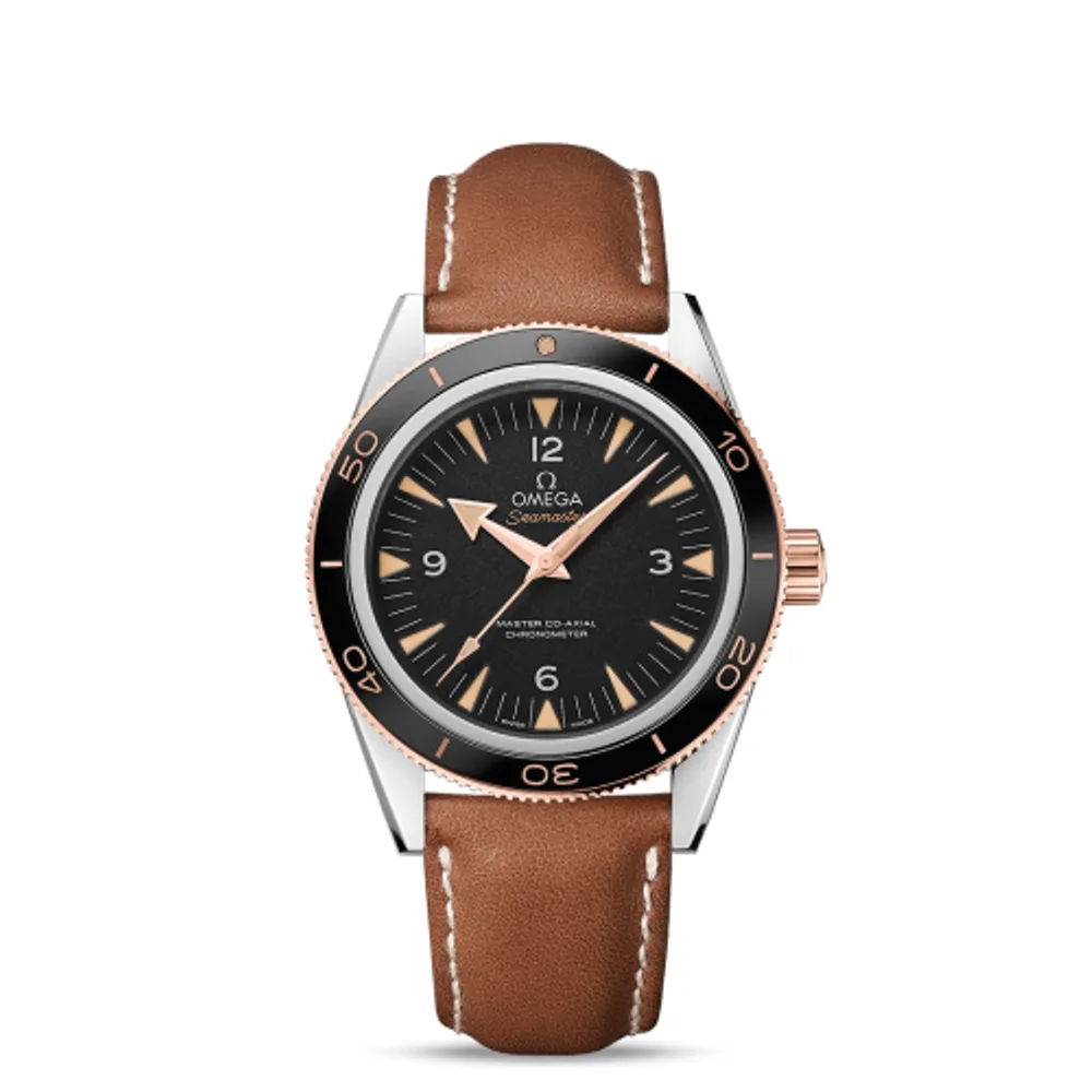Omega Seamaster 300 Master Co-Axial Steel Stainless Steel / Sedna Gold / Strap