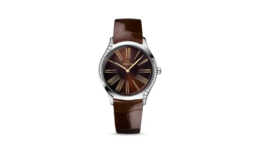 Omega De Ville Trésor 36 Stainless Steel / Brown - Roman / Alligator