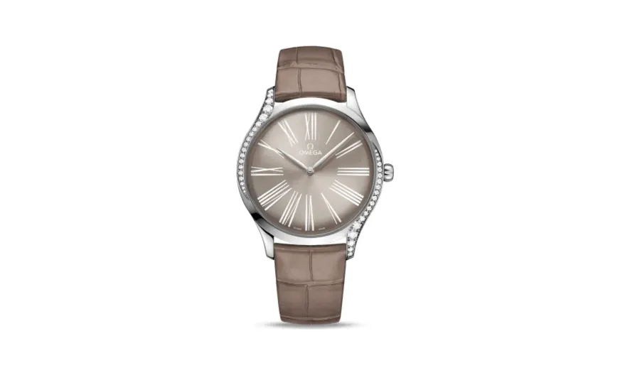Omega De Ville Trésor 39 Stainless Steel / Grey - Roman / Alligator