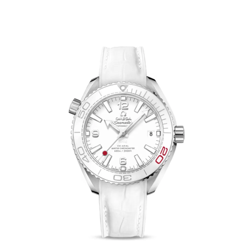 Omega Seamaster Planet Ocean 600M Co-Axial 39.5 Master Chronometer Stainless Steel / White / Alligator