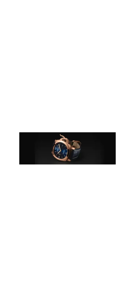 Panerai Luminor Marina