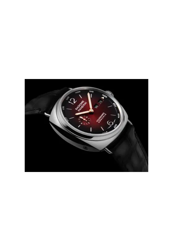 Panerai Radiomir Annual Calendar Platinumtech™ Experience