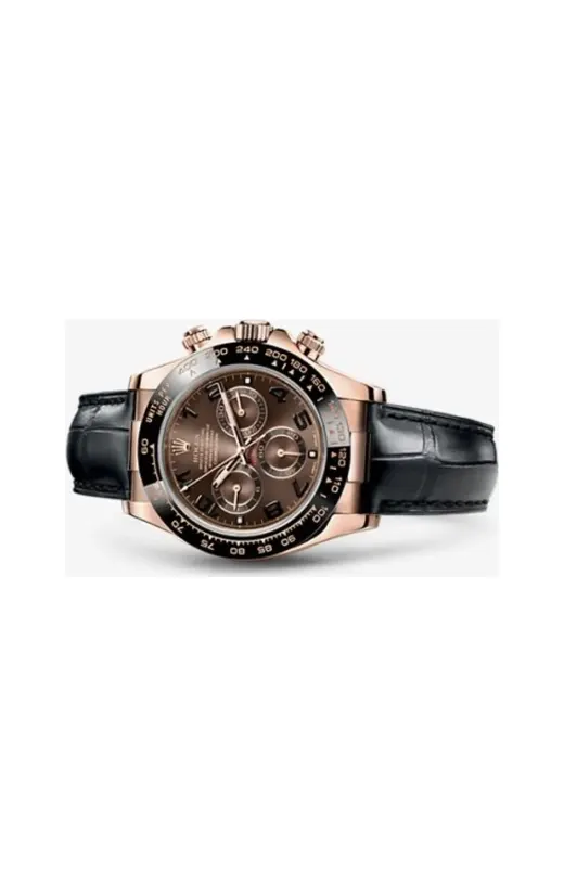 Rolex Cosmograph Daytona Everose / Cerachrom / Chocolate / Strap
