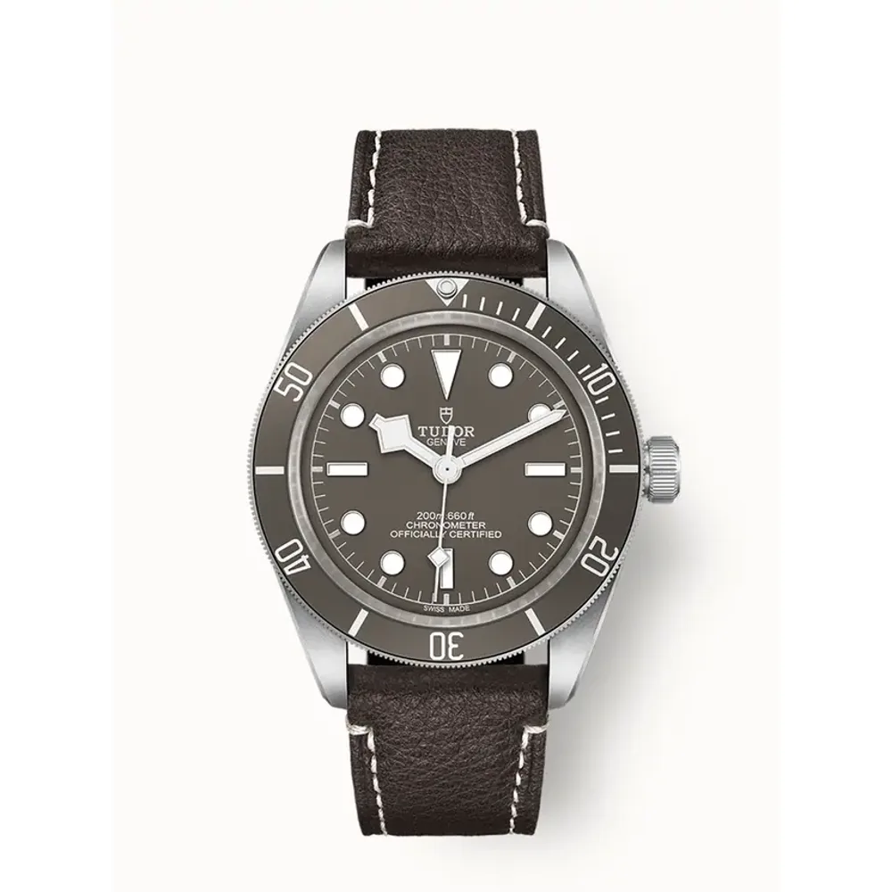 Tudor Black Bay 58 925, 39mm silver case, Taupe dial
