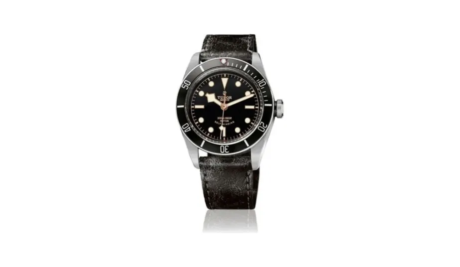 Tudor Black Bay Black / Strap